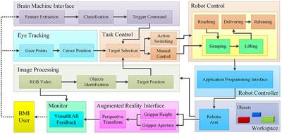 Closed-Loop Hybrid Gaze Brain-Machine Interface Based Robotic Arm Control with Augmented Reality Feedback